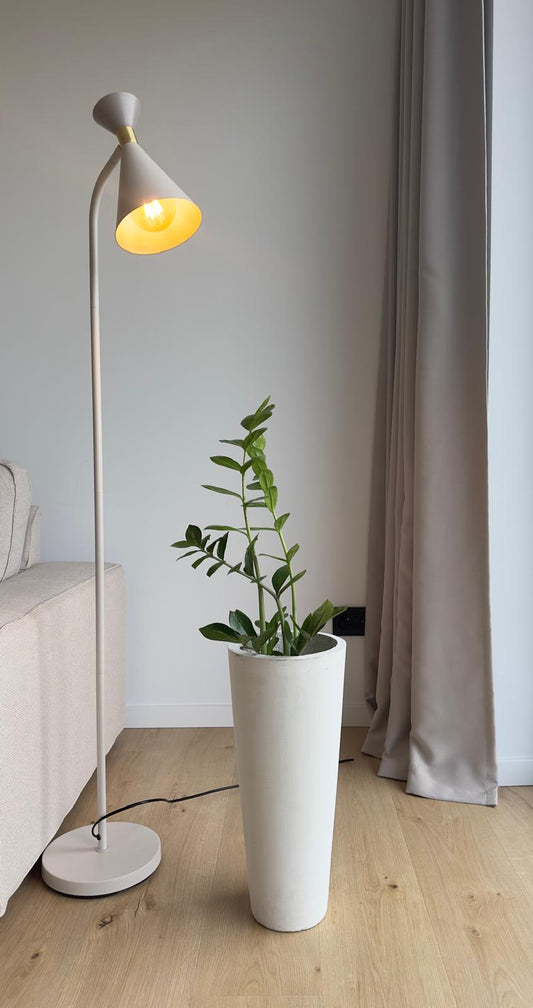 Ghiveci plante